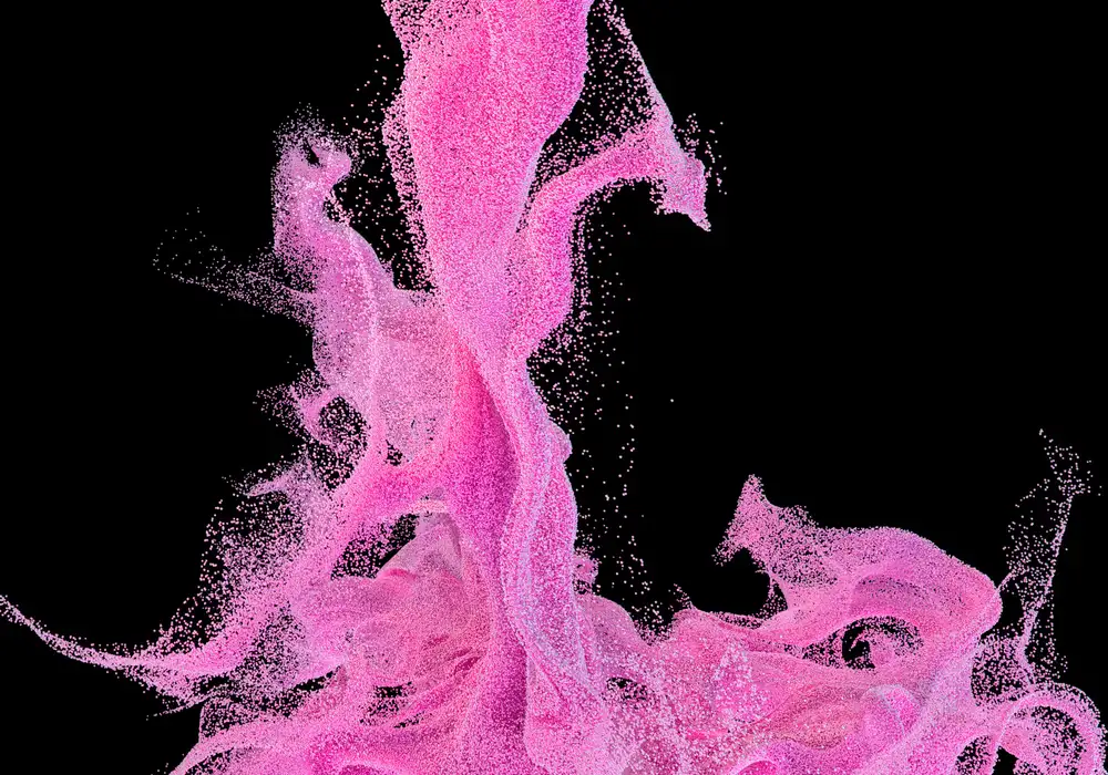 vfrog cheaper than foundation models